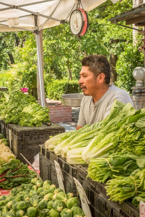 Farmers Market Image